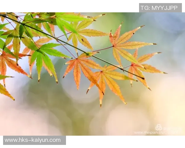 年薪5470万，带队尴尬0胜4负！交易你来做核心，可你逐渐打成绿叶